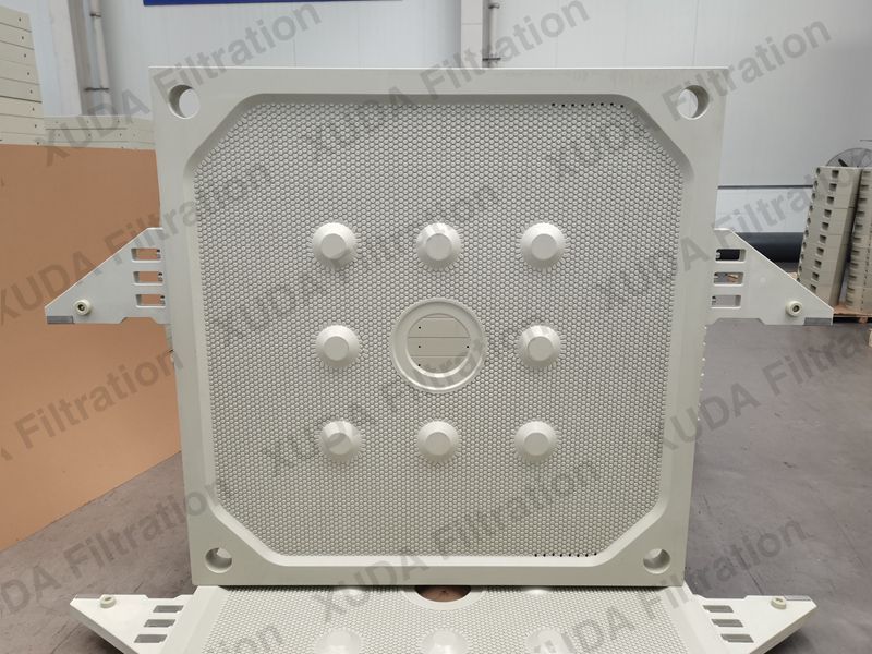 Chamber/Recessed Filter Plate